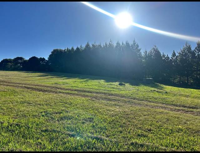 LAND FOR SALE IN DARGLE